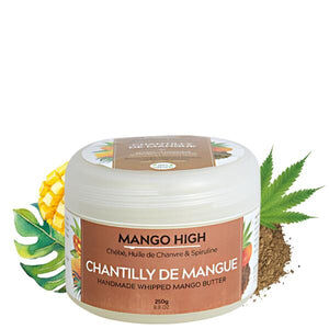 Mango Butterfull - Mango High - Chantilly de mangue artisanale